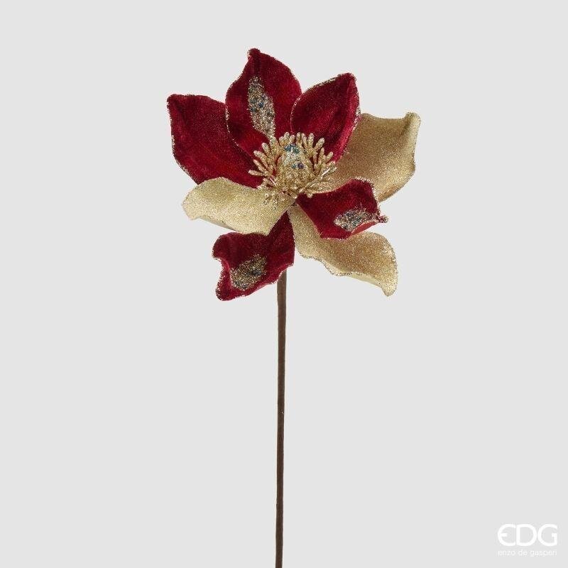 MAGNOLIA NATALIZIA A PETALI - EDG Enzo De Gasperi
