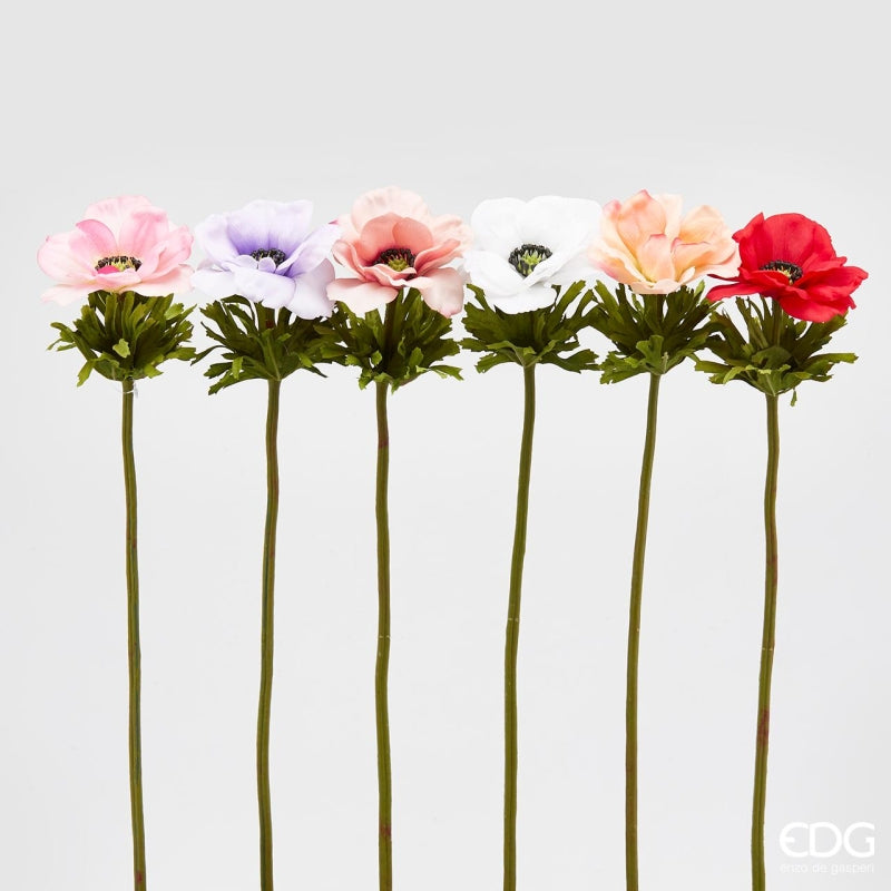 ANEMONE RAMO COLORI ASSORTITI - EDG Enzo De Gasperi