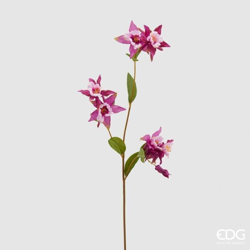 RAMO AQUILEGIA ROSA - EDG Enzo De Gasperi