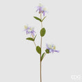 RAMO AQUILEGIA LILLA - EDG Enzo De Gasperi