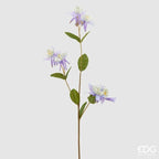 RAMO AQUILEGIA LILLA - EDG Enzo De Gasperi