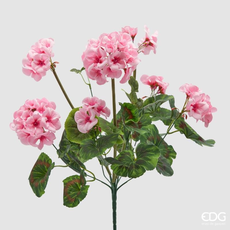 CESPUGLIO GERANIO ROSA CON FOGLIE - EDG Enzo De Gasperi