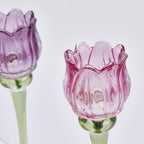 PORTACANDELA TULIPANO H27 COLORI MISTI - EDG Enzo De Gasperi