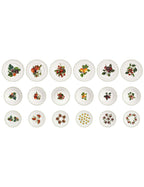 'LE PRIMIZIE' TAVOLA 18 PEZZI - Brandani